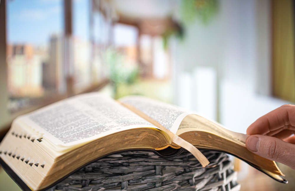 Read and Reflect to study the bible for beginners