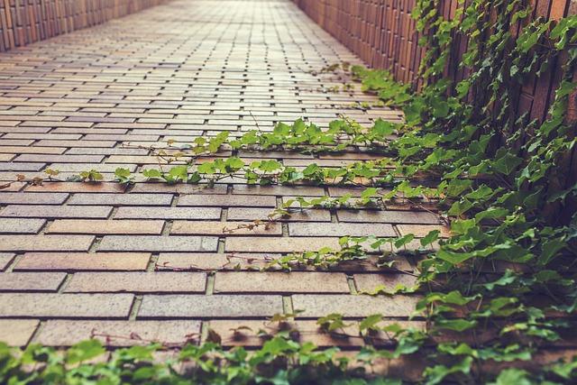 Overcoming Fear and Doubt to Embrace Your Authentic Path