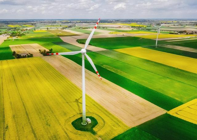Understanding the Energy Field and Its Impact on Your Life